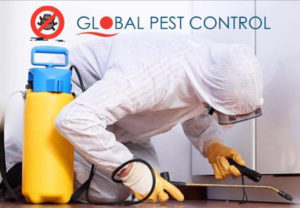 global pest control